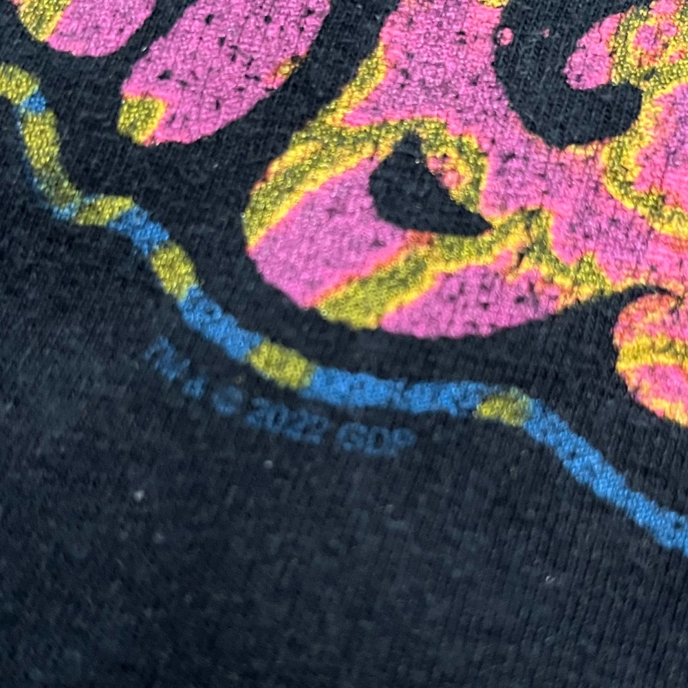🐢 '22 Grateful Dead Band Flowered Funk Color Junk Food Thick Cotton Skull Tee - Picture 4 of 13